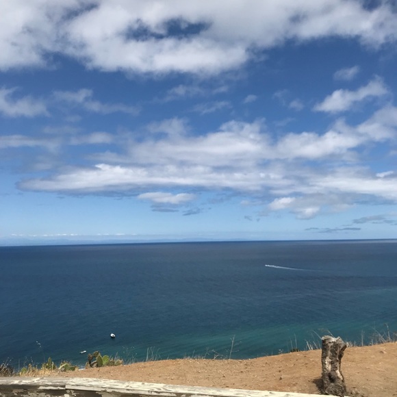 Meet your Posher, Yolie - Picture 7 of 8